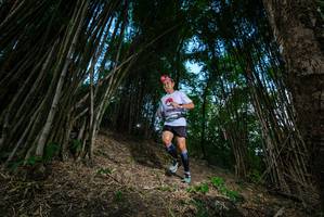 BIB: 
                            <button type="button" onclick="openModal(19395337)" class="btn btn-primary btn-sm float-right btn-popup" data-toggle="modal" data-target=".modal-high-quality">
                        <i class="fas fa-shopping-cart"></i> Add to Cart
                    </button>
                                            <button type="button" onclick="isThisMe(19395337, true)" class="btn btn-success btn-sm float-right btn-popup btn-isme hidden" data-toggle="tooltip" data-placement="bottom" title="นี่คือรูปของคุณใช่ไหม คลิกที่นี่เพื่อเอาเข้าอัลบั้ม">
                        <i class="fas fa-plus"></i> Add to album
                    </button>
                    <button type="button" onclick="isThisMe(19395337, false)" class="btn btn-warning btn-sm float-right btn-popup btn-isnotme hidden">
                        <i class="fas fa-ban"></i> Remove from album
                    </button>